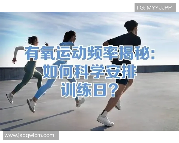 深入探讨有氧运动的益处及运动方式